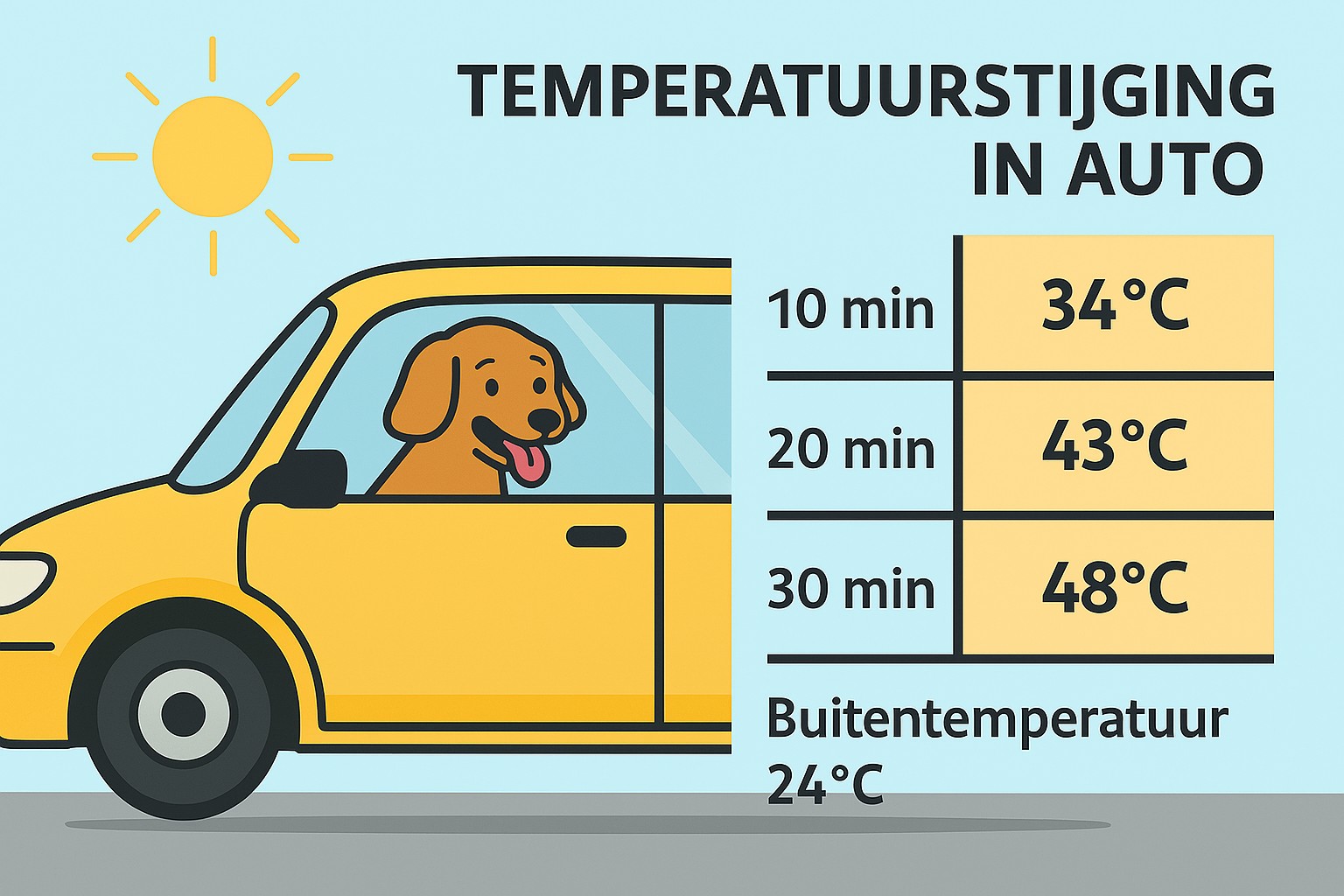 hond in warme auto