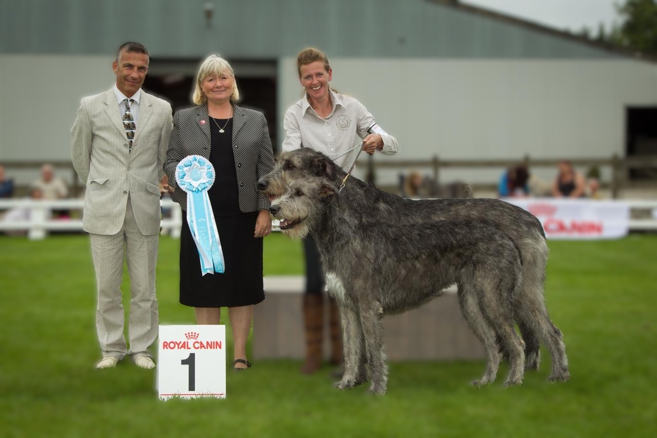 2012 KCM - koppelklas