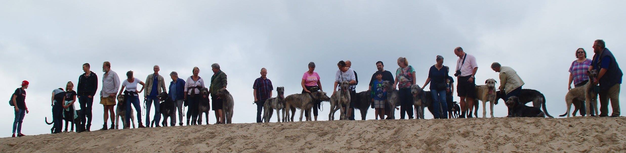 20160911-najaarswandeling-soesterduinen.