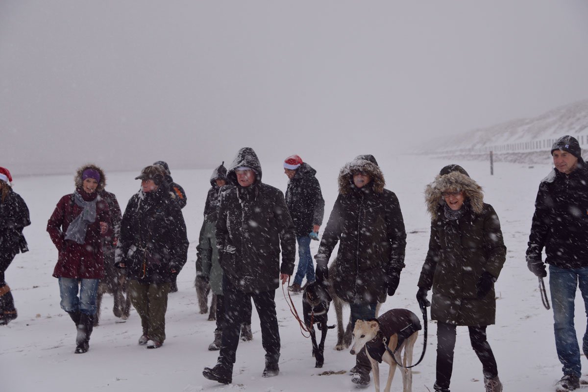 © 2017 Winterwandeling niwc