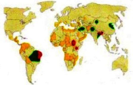 Gebieden in de wereld waar Leishmania voorkomt bij honden