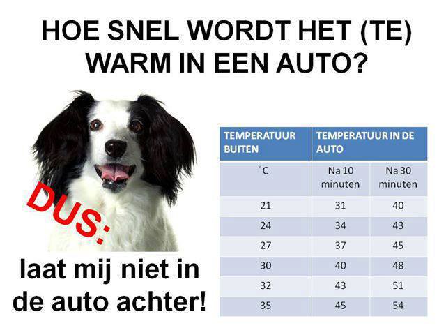 zomer en oplopende temperatuur in stilstaande auto
