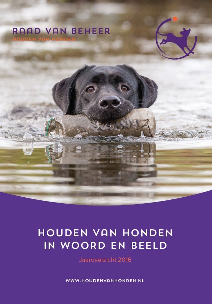 cover jaaroverzicht 2016