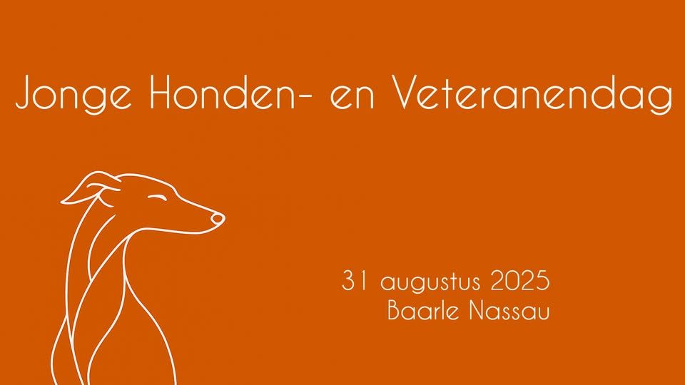 logo JHVD 2025